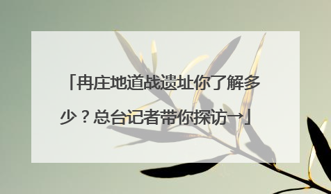 冉庄地道战遗址你了解多少？总台记者带你探访→