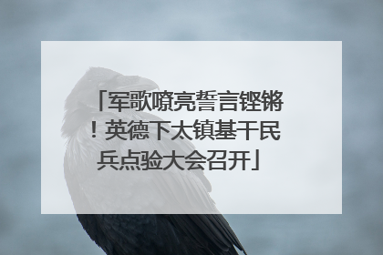 军歌嘹亮誓言铿锵！英德下太镇基干民兵点验大会召开