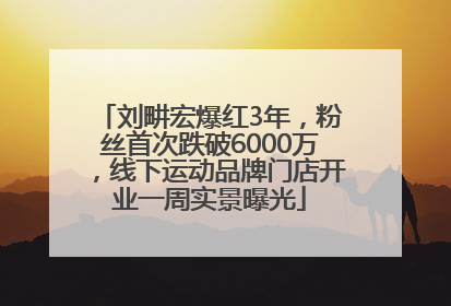 刘畊宏爆红3年，粉丝首次跌破6000万，线下运动品牌门店开业一周实景曝光