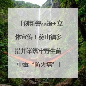 创新警示语+立体宣传！葵山镇多措并举筑牢野生菌中毒“防火墙”
