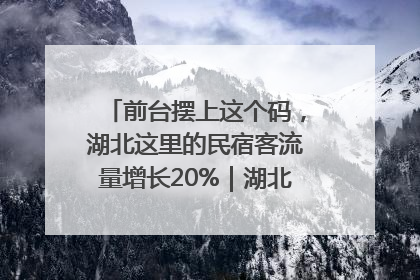 前台摆上这个码，湖北这里的民宿客流量增长20%｜湖北市场监管所的故事
