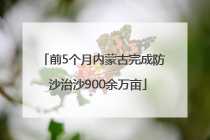 前5个月内蒙古完成防沙治沙900余万亩