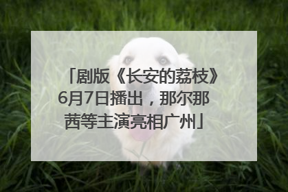 剧版《长安的荔枝》6月7日播出，那尔那茜等主演亮相广州