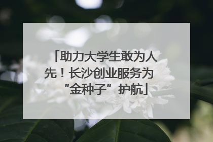 助力大学生敢为人先！长沙创业服务为“金种子”护航