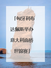 匈牙利布达佩斯举办意大利面桥世锦赛