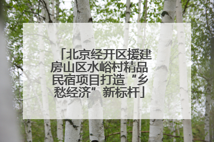 北京经开区援建房山区水峪村精品民宿项目打造“乡愁经济”新标杆