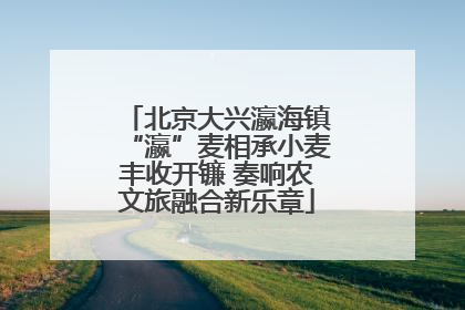 北京大兴瀛海镇“瀛”麦相承小麦丰收开镰 奏响农文旅融合新乐章