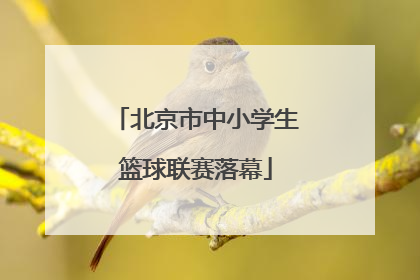 北京市中小学生篮球联赛落幕