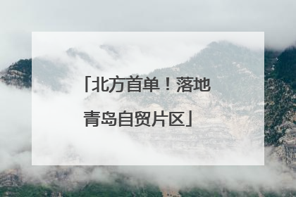 北方首单！落地青岛自贸片区