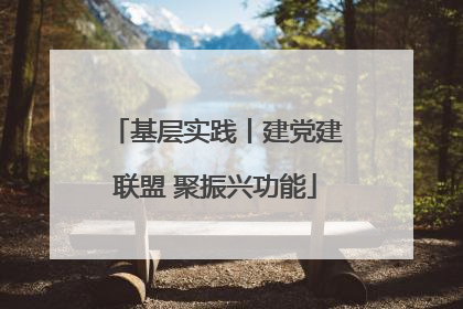 基层实践丨建党建联盟 聚振兴功能