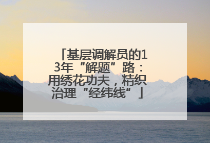 基层调解员的13年“解题”路：用绣花功夫，精织治理“经纬线”