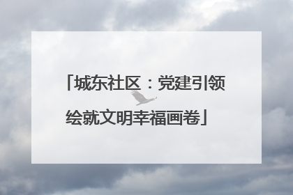 城东社区：党建引领绘就文明幸福画卷