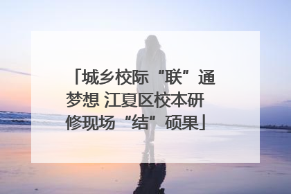 城乡校际“联”通梦想 江夏区校本研修现场“结”硕果