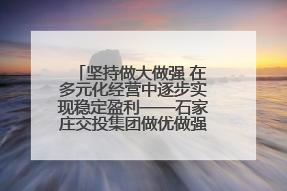 坚持做大做强 在多元化经营中逐步实现稳定盈利——石家庄交投集团做优做强典型报道之三