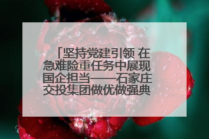 坚持党建引领 在急难险重任务中展现国企担当——石家庄交投集团做优做强典型报道之一