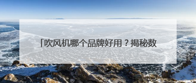 吹风机哪个品牌好用？揭秘数万网友力荐的10大品牌！