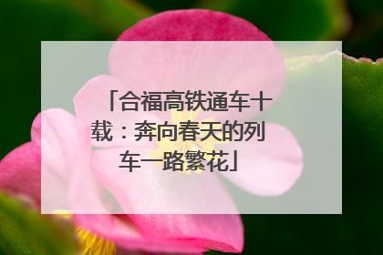 合福高铁通车十载：奔向春天的列车一路繁花
