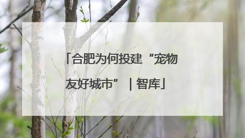 合肥为何投建“宠物友好城市”｜智库