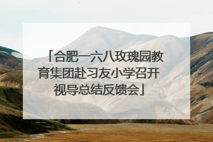 合肥一六八玫瑰园教育集团赴习友小学召开视导总结反馈会