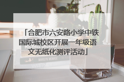 合肥市六安路小学中铁国际城校区开展一年级语文无纸化测评活动