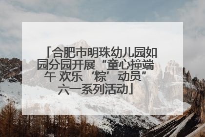合肥市明珠幼儿园如园分园开展“童心撞端午 欢乐‘粽’动员”六一系列活动