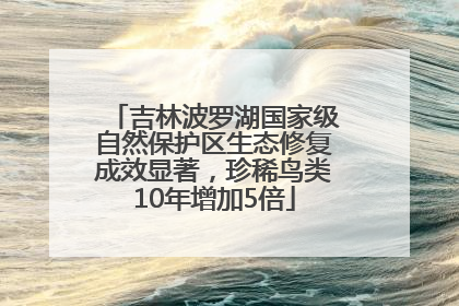 吉林波罗湖国家级自然保护区生态修复成效显著，珍稀鸟类10年增加5倍