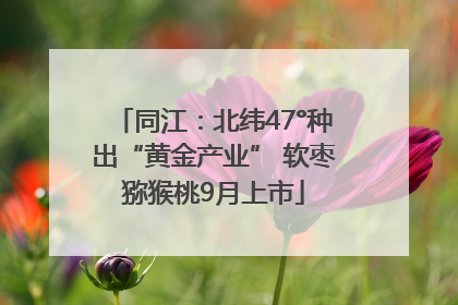 同江：北纬47°种出“黄金产业” 软枣猕猴桃9月上市