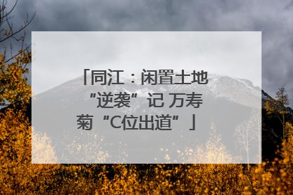 同江：闲置土地“逆袭”记 万寿菊“C位出道”
