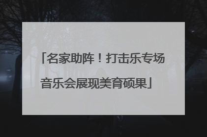名家助阵！打击乐专场音乐会展现美育硕果