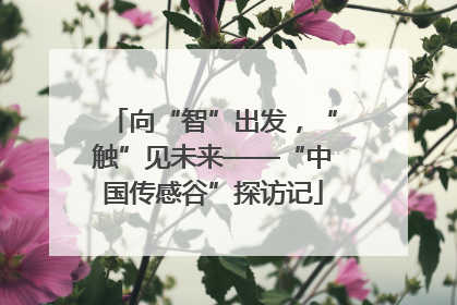 向“智”出发，“触”见未来——“中国传感谷”探访记
