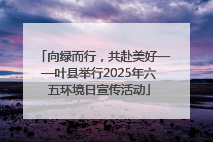 向绿而行，共赴美好——叶县举行2025年六五环境日宣传活动