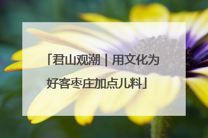 君山观潮｜用文化为好客枣庄加点儿料