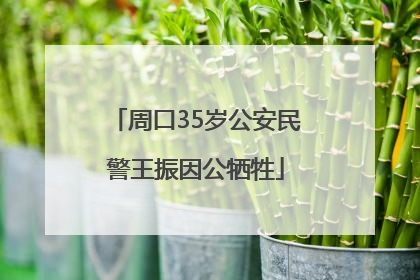 周口35岁公安民警王振因公牺牲
