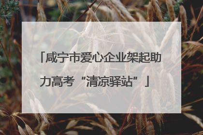 咸宁市爱心企业架起助力高考“清凉驿站”