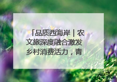 品质西海岸｜农文旅深度融合激发乡村消费活力，青岛西海岸新区的乡村振兴实践
