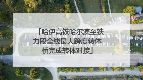 哈伊高铁哈尔滨至铁力段全线最大跨度转体桥完成转体对接