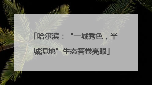 哈尔滨：“一城秀色，半城湿地”生态答卷亮眼