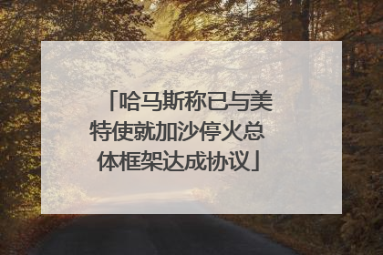 哈马斯称已与美特使就加沙停火总体框架达成协议