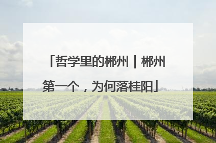 哲学里的郴州｜郴州第一个，为何落桂阳