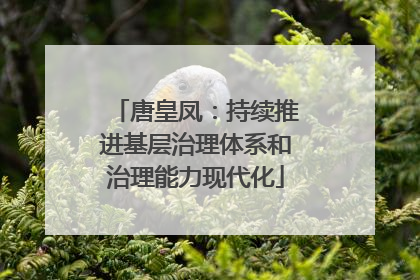 唐皇凤：持续推进基层治理体系和治理能力现代化
