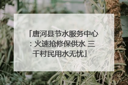 唐河县节水服务中心：火速抢修保供水 三千村民用水无忧