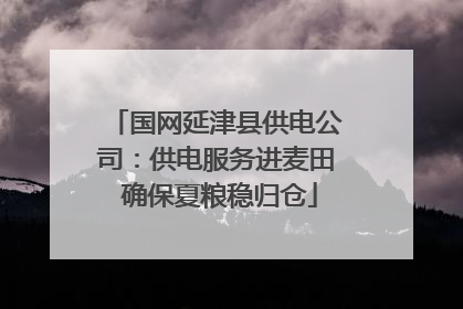 国网延津县供电公司：供电服务进麦田 确保夏粮稳归仓
