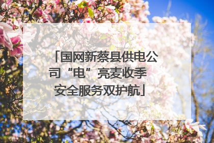 国网新蔡县供电公司“电”亮麦收季 安全服务双护航