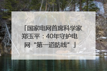 国家电网首席科学家郑玉平：40年守护电网“第一道防线”