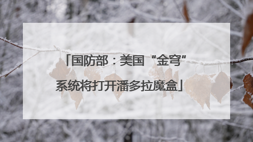 国防部：美国“金穹”系统将打开潘多拉魔盒