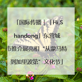 国际传播｜「Hi,Shandong」东营城市推介展亮相“从蒙马特到加里波第”文化节