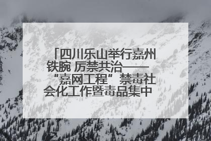 四川乐山举行嘉州铁腕 厉禁共治——“嘉网工程”禁毒社会化工作暨毒品集中销毁启动仪式