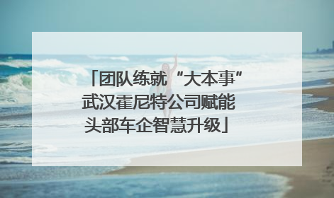 团队练就“大本事” 武汉霍尼特公司赋能头部车企智慧升级