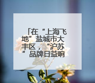 在“上海飞地”盐城市大丰区，“沪苏”品牌日益响亮