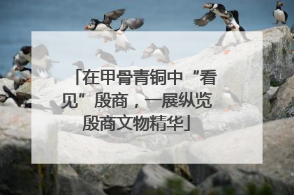 在甲骨青铜中“看见”殷商，一展纵览殷商文物精华